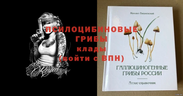 ПСИЛОЦИБИНОВЫЕ ГРИБЫ Липки